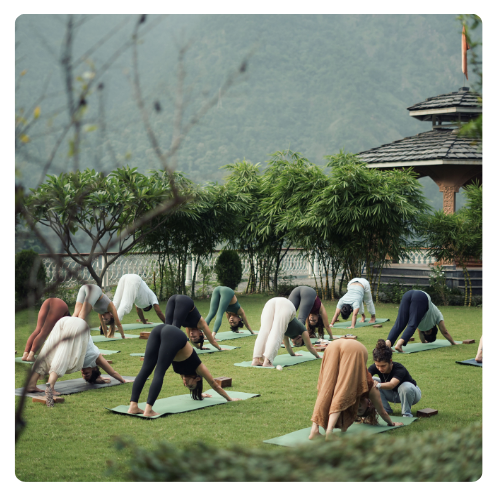 Yoga.png