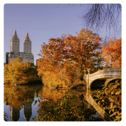 central park fall.png