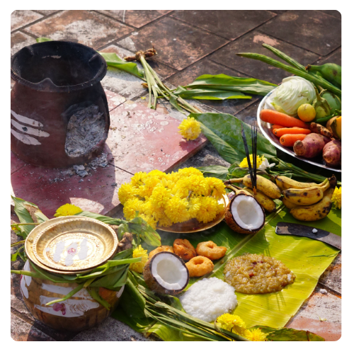 indian recipe