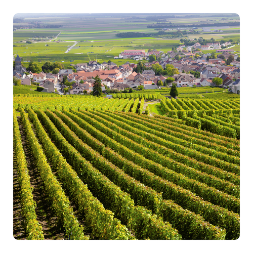 Swiss & Italy Insight Tour - Burgundy.png